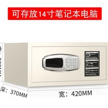 박스 도난방지 뒤집기 광주 호텔 문가정용 소형 스마트금고, T02-비밀번호 자동문 s타입 놓을수있음