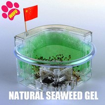 WOFUWOFU인젝트 호텔 개미 농장 발광 오션 뷰 빌라 큰 집 둥지 곤충 애완동물, 02 green