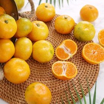 새콤달콤 제주 돌담 하우스 감귤 2.5kg 소과 (2S-S)