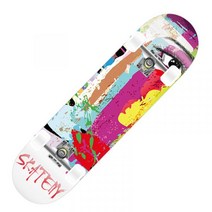 초보자 입문자 스케이트보드 랜드서핑 서프스케이트 스케이드보드, 피카소 스타일