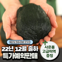 아빠매생이 장흥 내저 찰매생이 햇매생이, (예약배송) 12월 햇매생이 350g 10재기