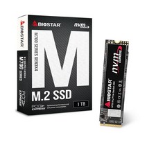 엠지컴/Biostar M700 M.2 2280 (1TB)