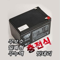 싸파 [싸파(SAPA)]무보수 밀폐형 무누액 충전식 밧데리 12V 12AH/배터리 전동릴 오토바이 완구, 선택완료, 단품없음