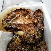 알이굵은 프리미엄 석화 3년산 삼배체, 1BOX, 5kg