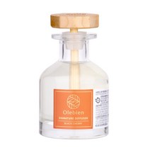 시그니처디퓨저 니치향수 차량용 실내용 디퓨저 방향제 스페인향료 150ml E.블랙체리