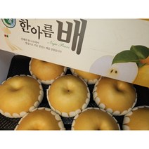 나주배 신고배 제수용 명절 선물세트 5kg 7.5kg, 선물용 나주배  5kg(8~9과)