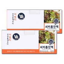 중저온추출 16시간 국산 쇠비름(마치현) 차 즙 진액 100ml x 30포, 2박스