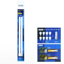 삼파장램프 형광등 36W 주광색 삼파장램프 삼파장