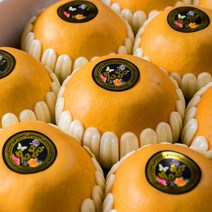 웰빙나주배농장 명품 햇살품은배 나주배 신고배 선물세트 5kg 10~11과내외 제수용, 없음