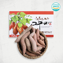 태안 산지직송 해풍맞은 호박고구마 착한가격 못난이 10kg (사이즈혼합), 1박스