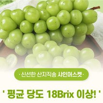 [산지직송]김천 샤인머스켓 고당도 애플 망고 청포도 국내산 샤인머스캣 캠핑 설 명절 과일선물세트 2송이 3송이 1kg 2kg 2.5kg, 상품 2kg 내외(4송이)