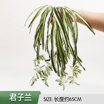 모조잔디 식물 벽 인조 잔디 베란다문 실내 인공 배경벽 이미지 녹화 잔디밭 밀실