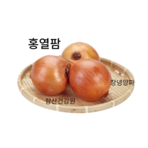 고지혈증영양제 양파즙100포, 감기예방양파즙