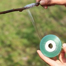 접목테이프 자체접착 3cm/4cm - 100m 접목 x 식물테이프, 3cm-5개