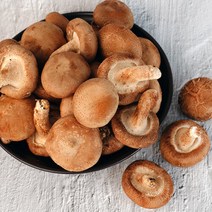 강원도 영월 표고버섯 650g (보통 가정용), 단일속성