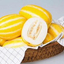 성주 고당도 꿀 정품 참외 2kg 3kg 5kg 10kg 산지직송 못난이 꼬마 제철과일, 정품 성주참외 10kg (25~35과)