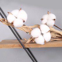 마쉬매리골드 조화 목화꽃 목화솜 33cm 촬영소품, DF416033