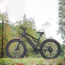 전기자전거 1000w Kalosse-숨겨진 배터리 15AH 전기 자전거 26X4.0 48V 1000W 풀 서스펜션 비치, 09 Black, 01 8