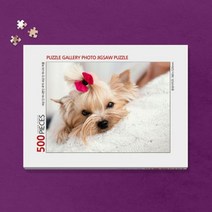 500피스 반려동물 사진 직소퍼즐 제작 (액자포함), 본상품선택, 02. 앤틱카키, 본상품선택