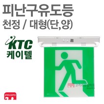 케이텔 피난구유도등 대형 천정 단면 양면 비상구 LED, 01-케이텔-피난/천정/대형-단면