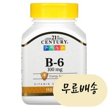 [미국타블렛품 100%보장] B-6 100mg 110타블렛 빠른직구 CEN21196, 1개, 110개
