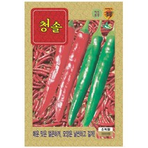 씨앗 청솔고추 청양고추 (청양고추) 300립, 1개