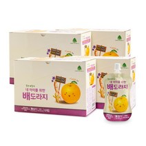 [팜투패밀리] 내 아이를 위한 배도라지 40입