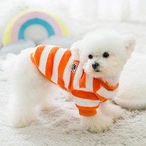강아지 겨울 극세사 털옷 부드러운 기모 티셔츠 실내복, 오렌지