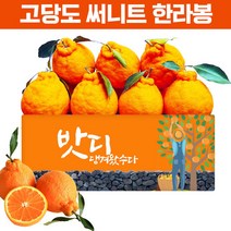 15Brix 신품종 최강당도 써니트 한라봉4.5kg중대과+500g추가, 단품