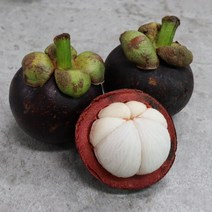 열대과일 망고 프리미엄 태국 햇 생 망고스틴 1kg 2kg 3kg 생망고스틴, 푸띠 태국 생망고스틴 1kg, 1개
