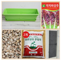 행복한세상 텃밭가꾸기 대 그린 뚝섬적치마상추, 4개