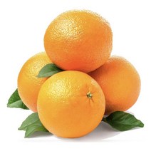 메리네마켓 고당도] 오렌지 프리미엄 네이블 10과 20과 30과 1box 소과 중과 대과, 소과 20과 (3kg내외), 1개