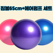 다이어트 짐볼 65cm +에어 펌프 증정, 레드