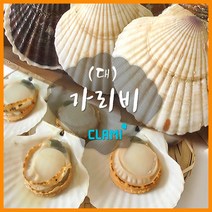 가리비(대) 수산물/쭈꾸미/꽃게/전복/소라/해물/조개/낙지/멍게/해물탕, 단일 수량