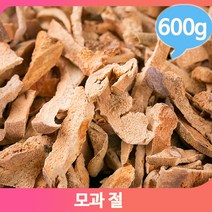 건강 한방차 건모과 절 600g 영양 어르신 건조 선물