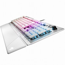 ROCCAT VULCAN 122 AIMO (갈축)