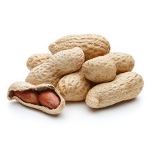 햇 피땅콩 1kg정월대보름 부럼, 피땅콩 1kg, 1개