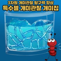 개미집 개미키우기 개미 관찰 하우스 초등학교 초등학생 유아 생물관찰 생일 선물[호&준 썸팅스토어], 개미집 1개