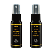 닥터안스 호주산 프로폴리스 프로폴리스리퀴드 어린이 뿌리는 프로폴리스 스프레이 25ml, 2개