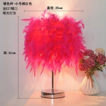 깃털 스탠드 조명 침실 로맨틱 심플 모던 인테리어 등, 리모콘스위치, 19.트럼펫(실버스틱)피치깃털