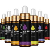 [티트리오일] 퓨어 플랜트 가습기 에센셜 오일 10ml 민트 라벤더 티 트리 로즈 바닐라 샌달우드 재스민 네이처, [01] 10ml, [12] Peppermint, 01 10ml_12 Peppermint