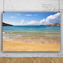 여름 해변 테마 사진 배경 코코넛 나무 천 아이 아기 생일 벽지 스튜디오 촬영, Vinyl150x100cm+BJWY3T15