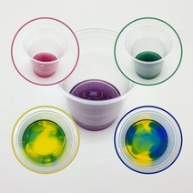 산성용액 염기성용액 변화관찰 (1인용) (탄산칼슘 식용유 BTB 페놀프탈레인 양배추)/과학 실험 키트 교구 도구 만들기
