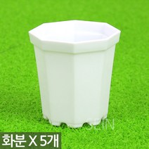팔각 미니화분 화이트 X 5개 - 플라스틱 화분 어린이집 유치원 어린이 식목일 행사 플분 다육 선인장 식물 모종 삽목 인테리어 홈 가드닝 다육이화분