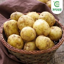 [온도씨]가락시장 감자 1kg, 단품