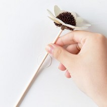 투명 원형 자국안남는테이프 얇은 양면테이프 못없이액자걸기 70알, 투명 원형 양면 테이프 70알