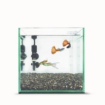 용꼬기 나의 유리정원 20큐브 미니 구피 물고기 여름 세트 어항 베타 키우기 물생활 초보 가정용 수족관 풀세트