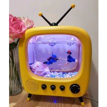 TV모양 어항 구피 니모 관상어 열대어 배타 인테리어