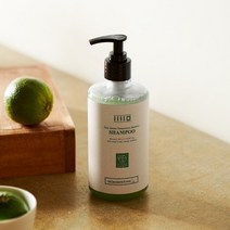 제주 청귤 셔버트 샴푸 450g, 단품