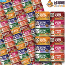 동원 뉴트리플랜 고양이 습식 대용량 캔 160g x 96개 맛별 골라담기, 흰살참치 + 멸치 혼합맛